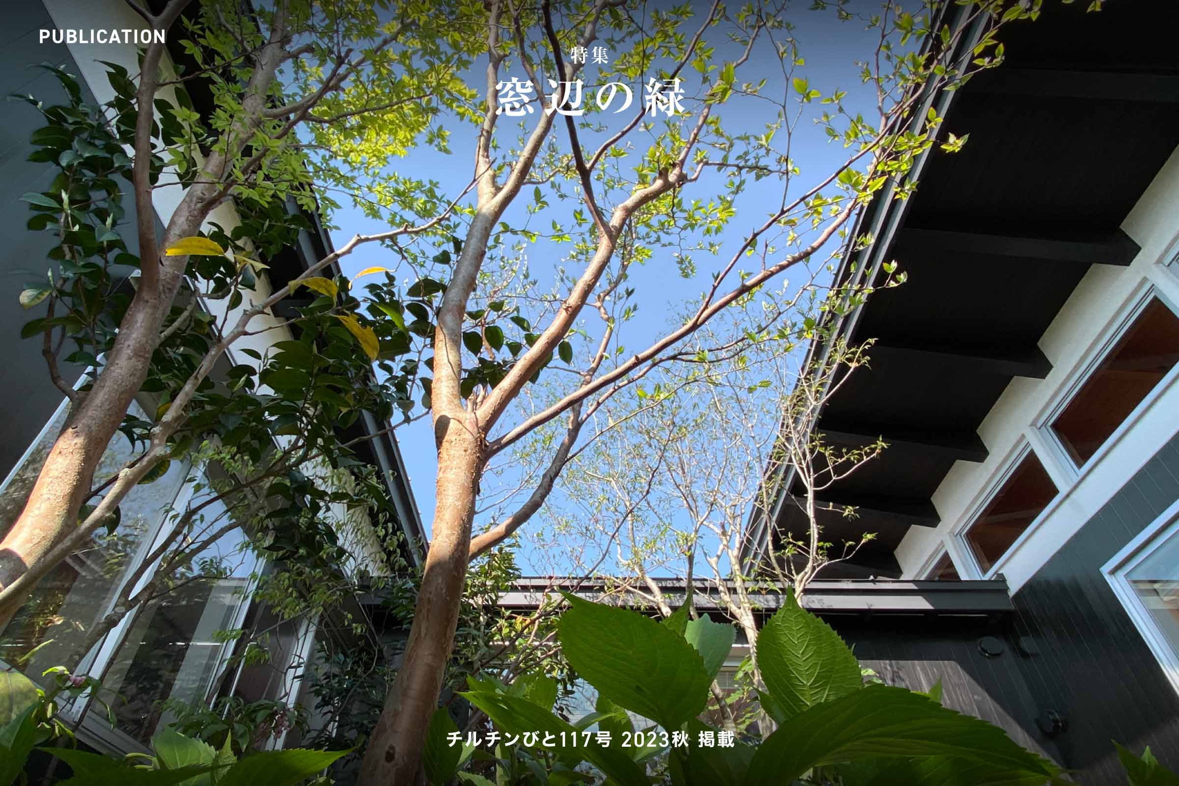 チルチンびと117号 2023秋「窓辺の緑」掲載
