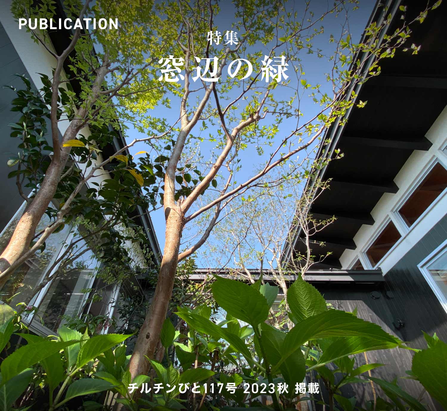 チルチンびと117号 2023秋「窓辺の緑」掲載